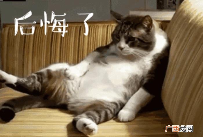 后悔的搞笑动图表情包 后悔的图片