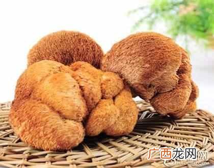 干猴头菇怎么吃？干猴头菇的家常做法
