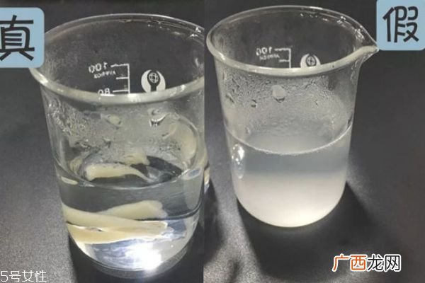 红石榴洗面奶新版真假鉴别雅诗兰黛洁面乳真假图