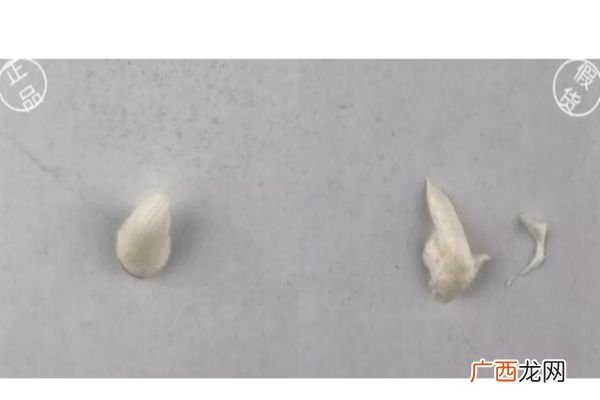 红石榴洗面奶新版真假鉴别雅诗兰黛洁面乳真假图