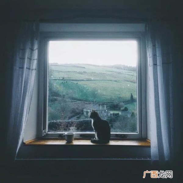 怎么样挽回狮子座男人的心,怎样挽回十二星座男人的心