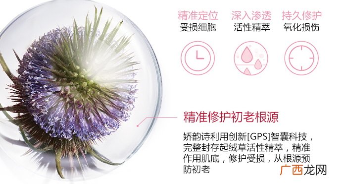 娇韵诗智囊冻龄霜怎么用?娇韵诗智囊冻龄霜使用方法