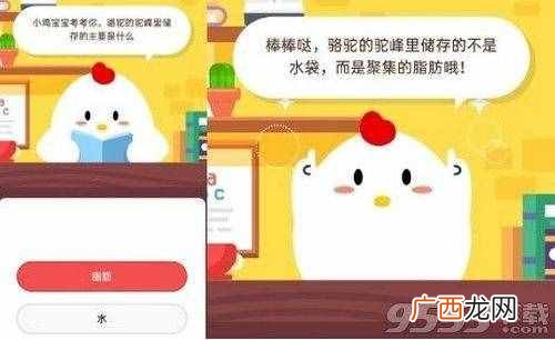 骆驼驼峰里储存的是什么？5月16日小鸡庄园课堂答案