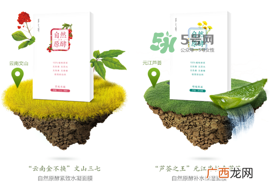 采之汲自然原酵面膜怎么用？采之汲自然原酵面膜使用心得