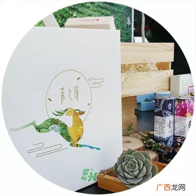 采之汲是什么牌子？采之汲是什么档次？