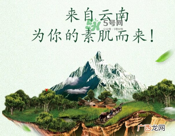 采之汲是什么牌子？采之汲是什么档次？