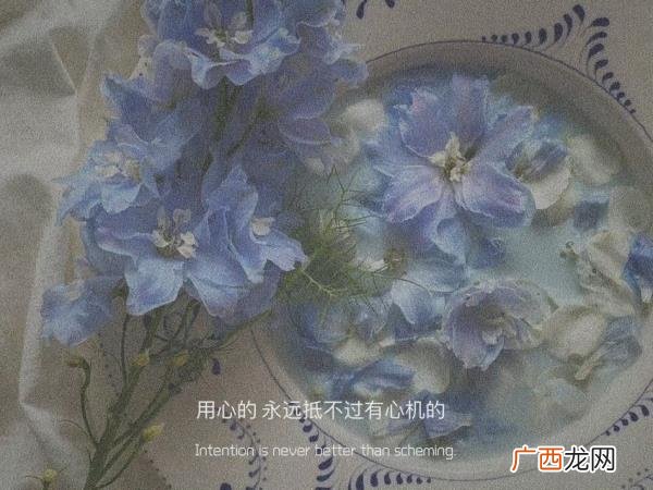 暗示对老公失望的句子，那些对他感到失望的句子