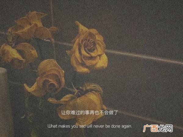 暗示对老公失望的句子，那些对他感到失望的句子