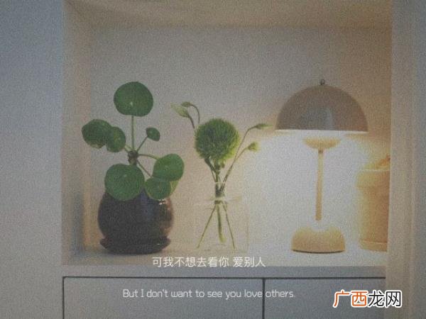 暗示对老公失望的句子，那些对他感到失望的句子