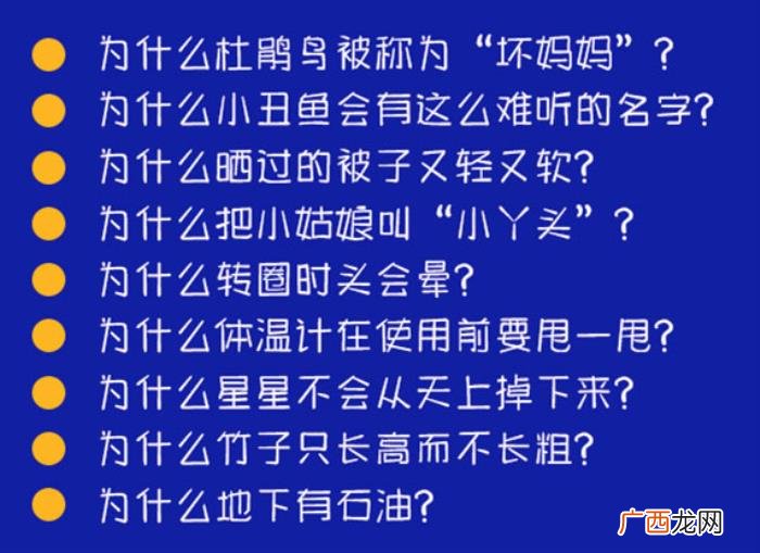 撒贝宁清华，18岁清华学霸单挑23人令撒贝宁震惊