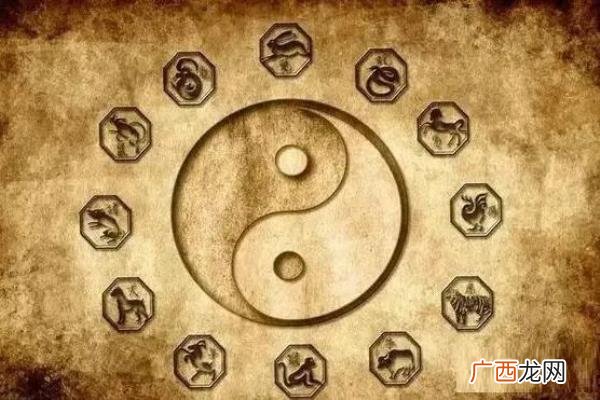 暗示处对象怎么说，膨友说丨塔罗暗示对象出轨