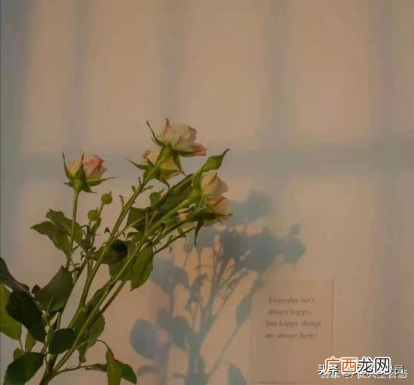 暗示对象想分手的文案，温柔礼貌地和对象提分手的文案