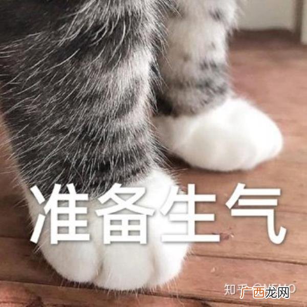 女生平静的分手还能挽回吗，女生很平静的说出分手时