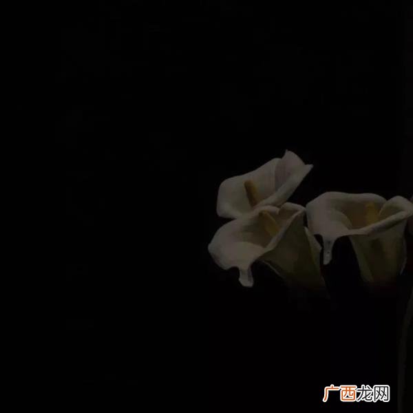 暗示放弃一个人的文案，想放弃一个人的文案
