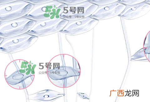 娇韵诗青春赋活两件套装多少钱？娇韵诗全新青春赋活系列怎么样？