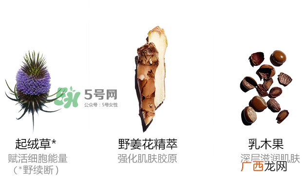 娇韵诗青春赋活晚间霜怎么样_多少钱_适合肤质