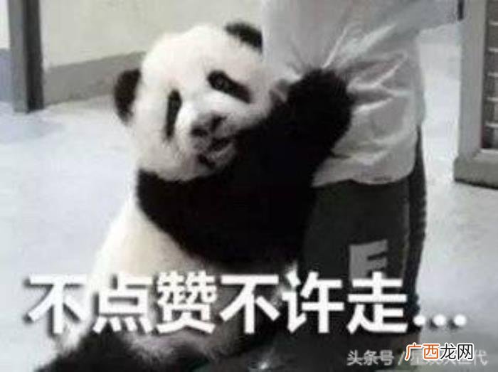 宋茜软骨功，宋茜曝不堪回首经历练成超狂软骨功