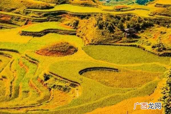 重庆周边旅游景点大全？重庆周边这8个小众旅行地