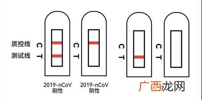 保定抗原自测结果怎么看？