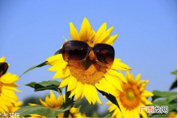 晒太阳皮肤痒怎么回事夏天太阳一晒皮肤就痒