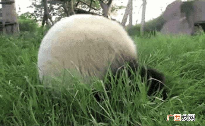 孙俪和倪妮，孙俪、邓超、倪妮、李小璐等明星血的教...