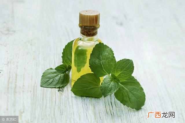 家里有蚂蚁怎么办？试试这6种居家驱蚂蚁法吧