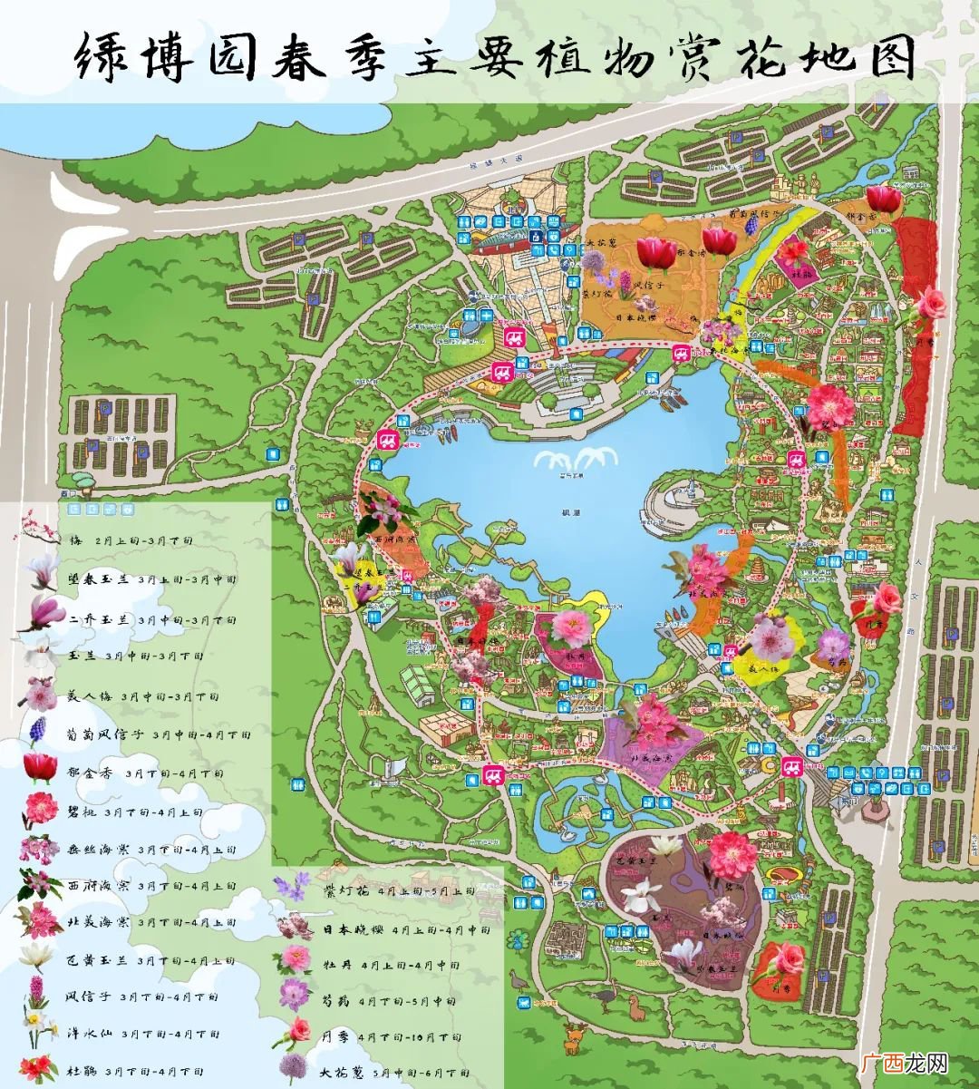 2022郑州绿博园赏花地图