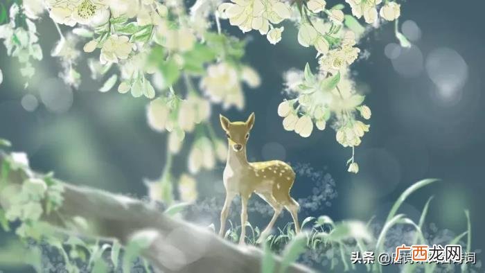 那些神妙逼真的写景的句子 形容风景优美的句子