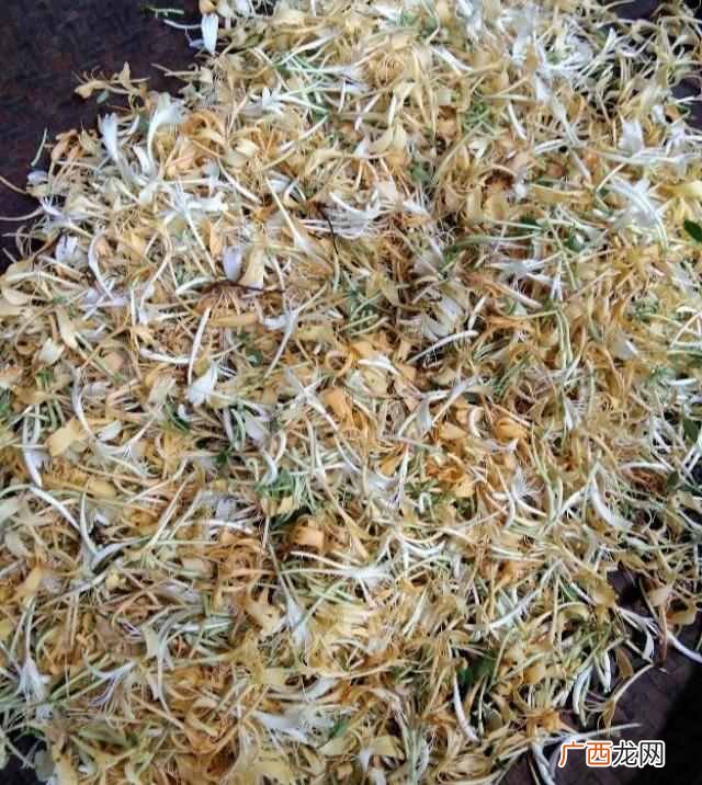 哪些花可以泡茶喝？？5种漂亮花，泡茶特别香，越喝越健康，老中医都