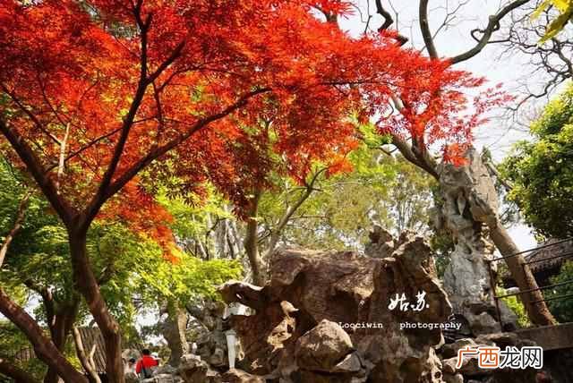 苏州十大好玩的地方排行榜？苏州10大必玩景点