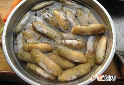 蛏子怎么清洗干净?蛏子、花蛤等贝类怎么洗
