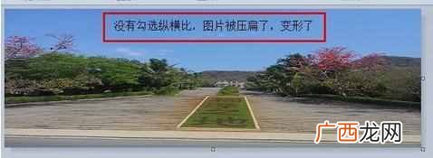怎么修改照片大小内存?改变图片大小的方法技巧
