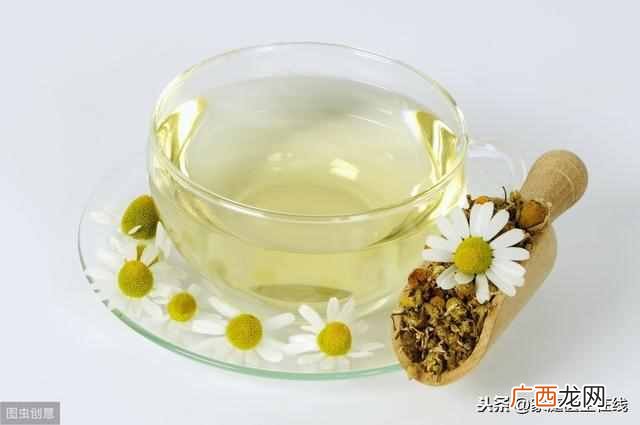 减肥茶排行榜前10名？什么茶，减肥比较有效？