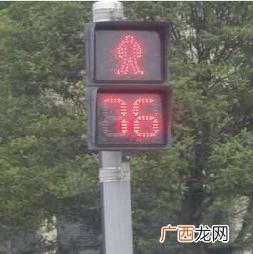 红绿灯怎么看？交通信号灯怎么看？怎样避免处罚