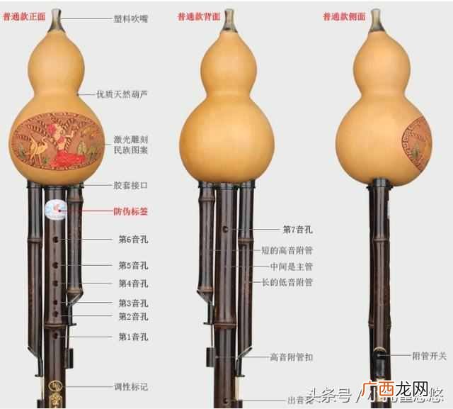 葫芦丝怎么吹？一篇文学会葫芦丝