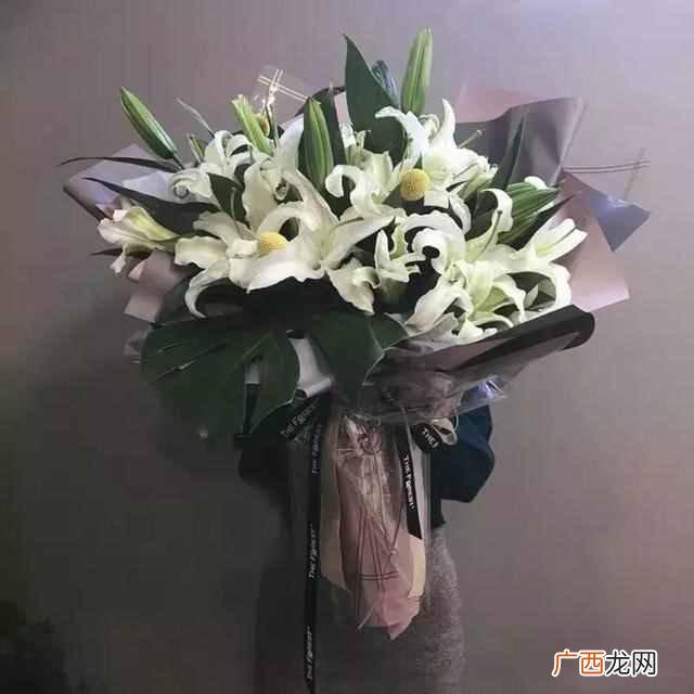 教师节送什么花？教师节，这些花儿送给敬爱的老师们