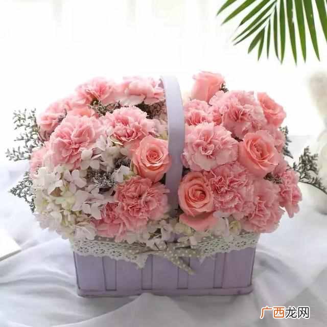 教师节送什么花？教师节，这些花儿送给敬爱的老师们