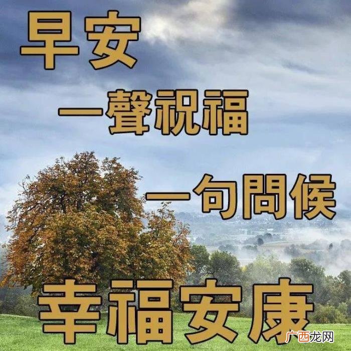 很漂亮的早上好问候唯美图片 充满阳光正能量的图片
