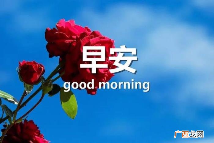 很漂亮的早上好问候唯美图片 充满阳光正能量的图片