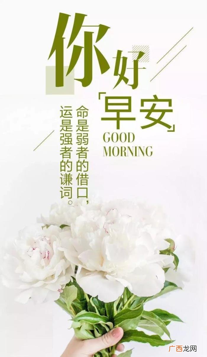 很漂亮的早上好问候唯美图片 充满阳光正能量的图片