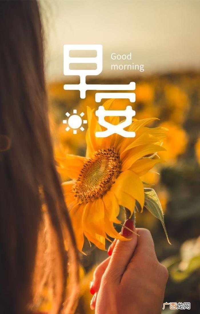 很漂亮的早上好问候唯美图片 充满阳光正能量的图片