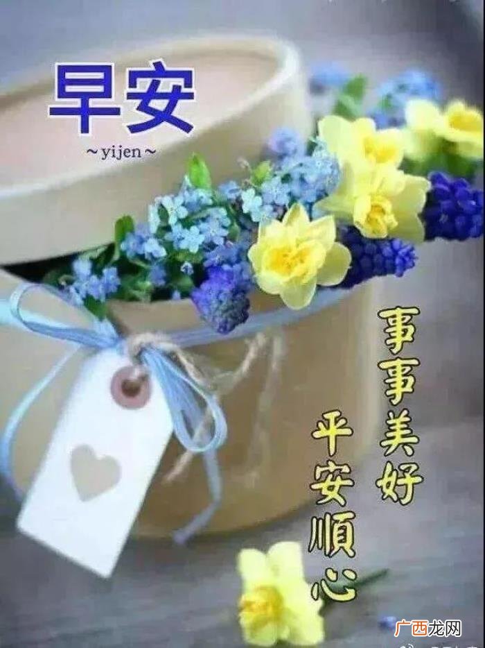 很漂亮的早上好问候唯美图片 充满阳光正能量的图片