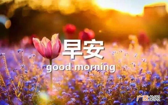 很漂亮的早上好问候唯美图片 充满阳光正能量的图片