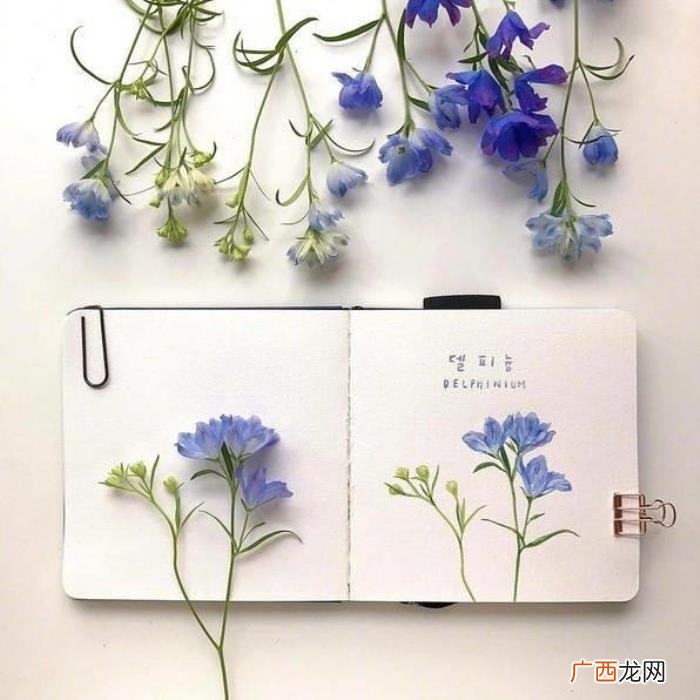 新的一年活出自己的句子 但愿一年以后说说