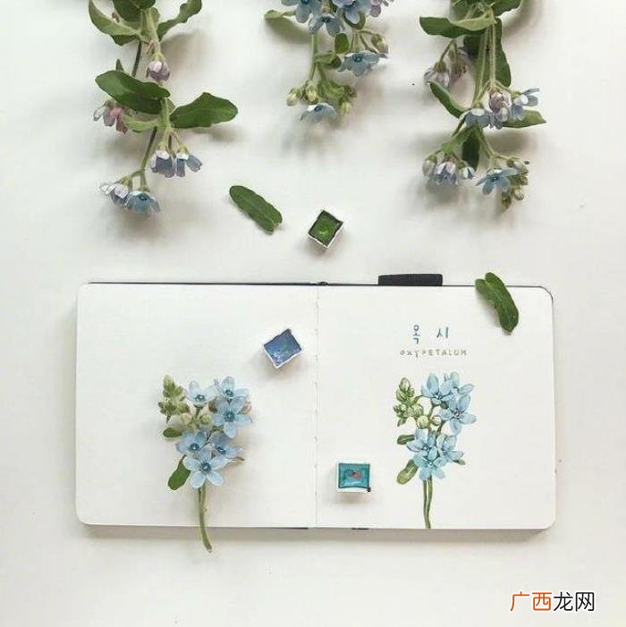 新的一年活出自己的句子 但愿一年以后说说