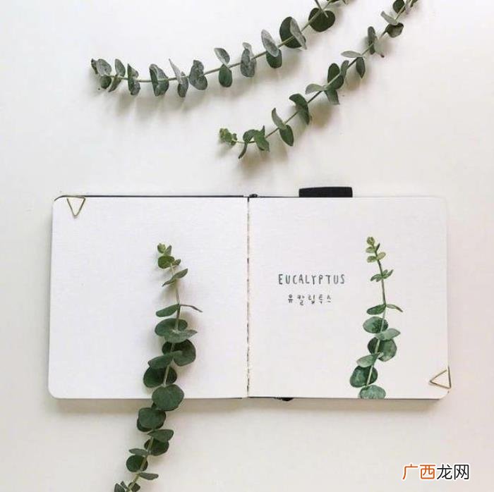 新的一年活出自己的句子 但愿一年以后说说