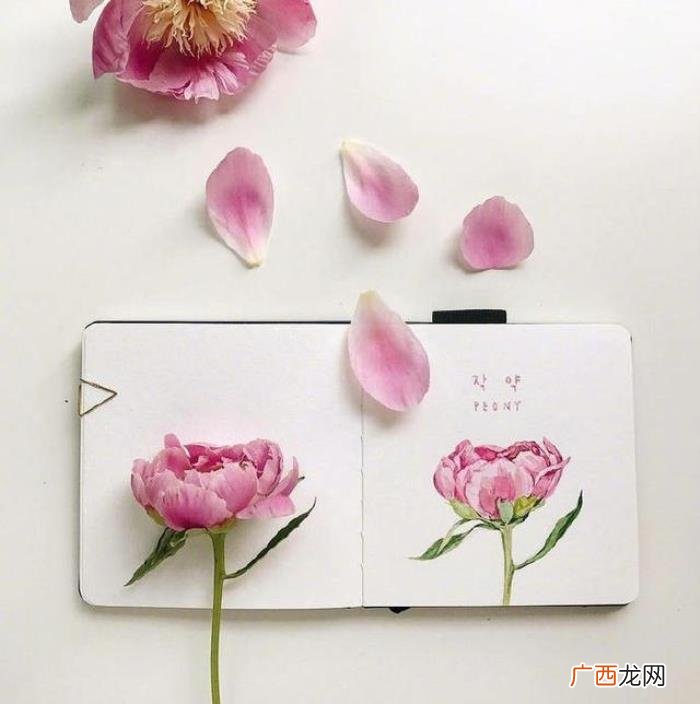 新的一年活出自己的句子 但愿一年以后说说
