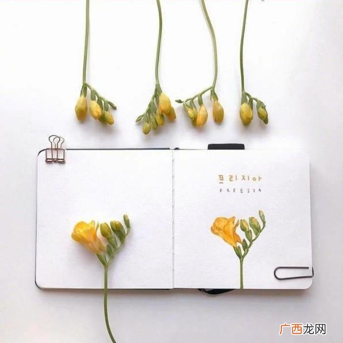 新的一年活出自己的句子 但愿一年以后说说