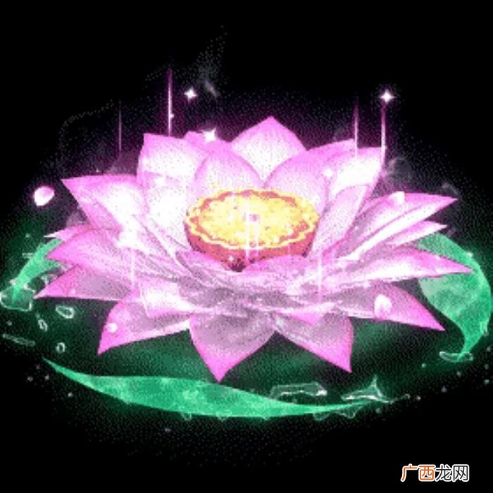 一组让人一看就心静如莲的佛图片 让人看了就静心的图片