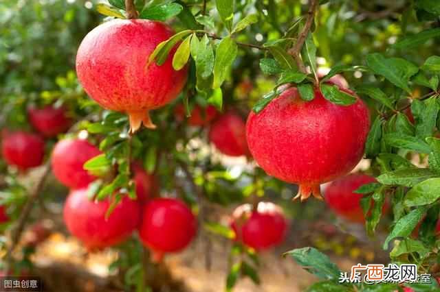 七夕节吃什么传统食物？七夕吃什么？这8道传统美食诱惑你都知道吗